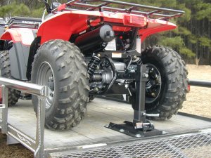 Louisiana Trailer Dog