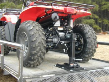 Louisiana Trailer Dog